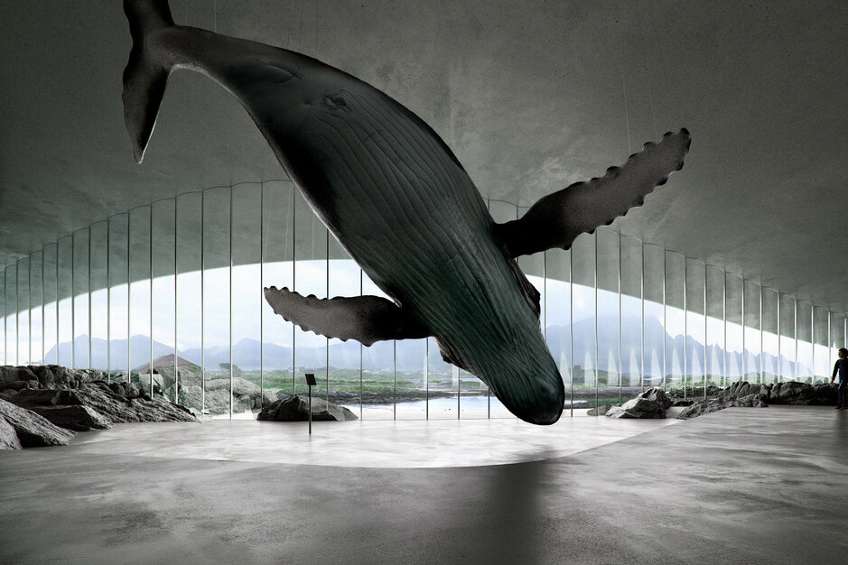 The Whale Dorte Mandrup